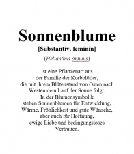Definition Sonnenblume.png